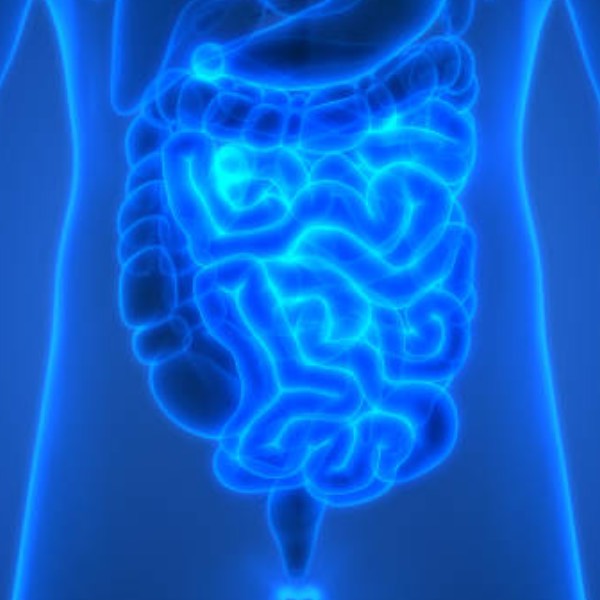Atención de estomas y reconexión intestinal